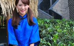 鲍勃大盗中文版